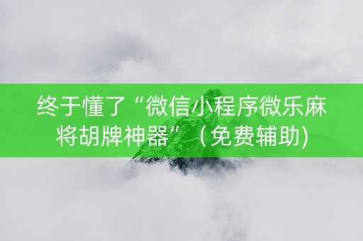 终于懂了“微信小程序微乐麻将胡牌神器”（免费辅助)