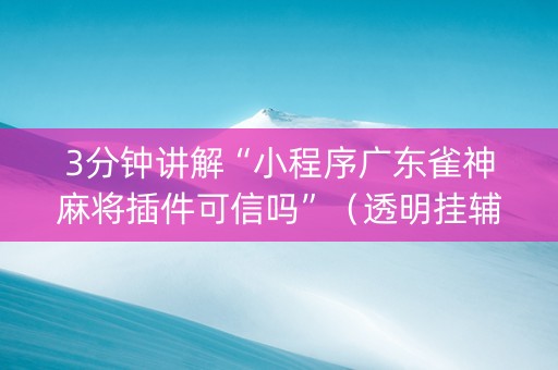 3分钟讲解“小程序广东雀神麻将插件可信吗”（透明挂辅助器)
