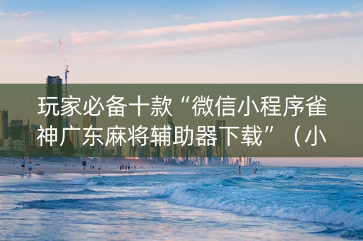 玩家必备十款“微信小程序雀神广东麻将辅助器下载”（小程序必赢神器)