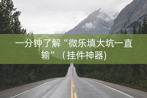 一分钟了解“微乐填大坑一直输”（挂件神器)