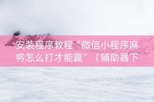 安装程序教程“微信小程序麻将怎么打才能赢”（辅助器下载)