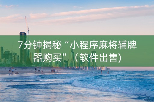 7分钟揭秘“小程序麻将辅牌器购买”（软件出售)