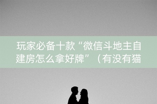 玩家必备十款“微信斗地主自建房怎么拿好牌”（有没有猫腻)