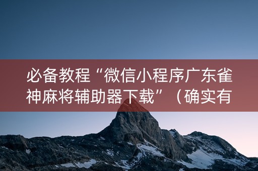 必备教程“微信小程序广东雀神麻将辅助器下载”（确实有插件吗)