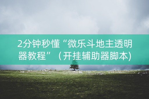 2分钟秒懂“微乐斗地主透明器教程”（开挂辅助器脚本)