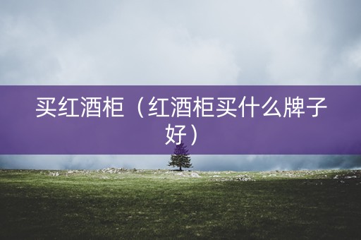 买红酒柜（红酒柜买什么牌子好）