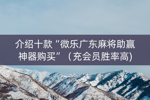 介绍十款“微乐广东麻将助赢神器购买”（充会员胜率高)