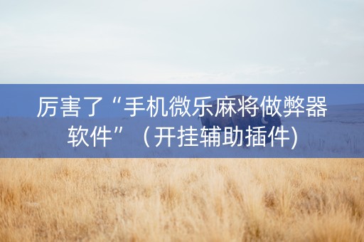 厉害了“手机微乐麻将做弊器软件”（开挂辅助插件)