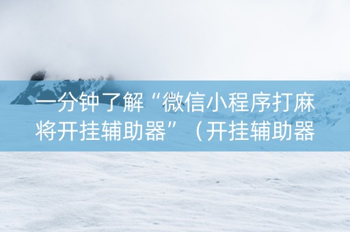 一分钟了解“微信小程序打麻将开挂辅助器”（开挂辅助器插件)
