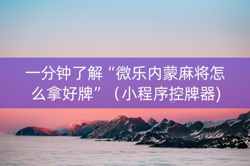 一分钟了解“微乐内蒙麻将怎么拿好牌”（小程序控牌器)