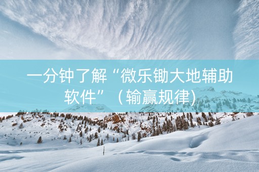 一分钟了解“微乐锄大地辅助软件”（输赢规律)