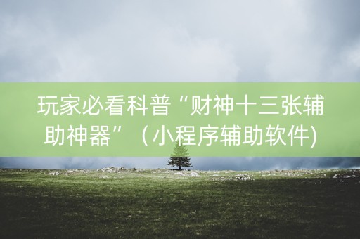 玩家必看科普“财神十三张辅助神器”（小程序辅助软件)