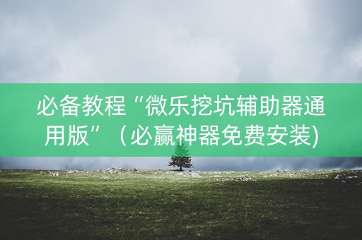 必备教程“微乐挖坑辅助器通用版”（必赢神器免费安装)