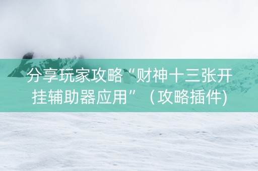 分享玩家攻略“财神十三张开挂辅助器应用”（攻略插件)