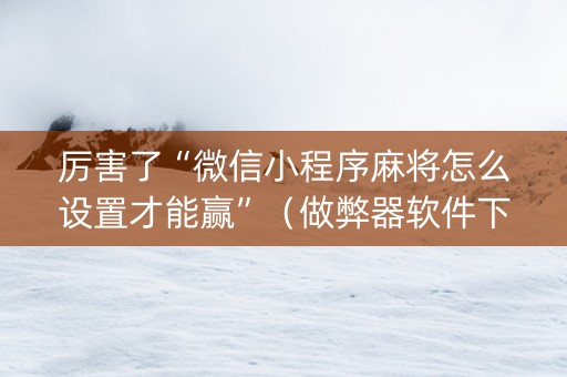厉害了“微信小程序麻将怎么设置才能赢”（做弊器软件下载)