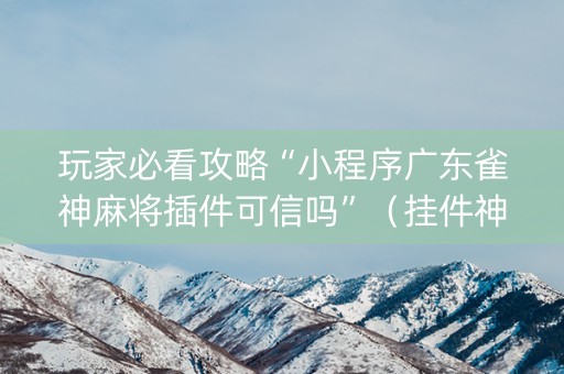 玩家必看攻略“小程序广东雀神麻将插件可信吗”（挂件神器)