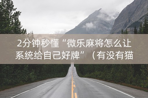 2分钟秒懂“微乐麻将怎么让系统给自己好牌”（有没有猫腻)