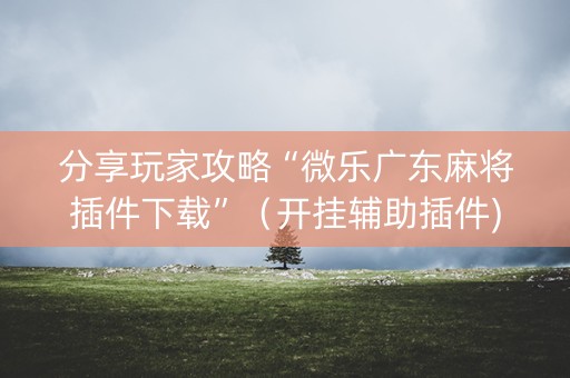 分享玩家攻略“微乐广东麻将插件下载”（开挂辅助插件)