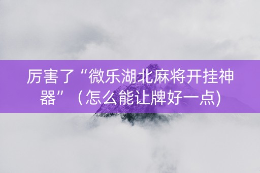 厉害了“微乐湖北麻将开挂神器”（怎么能让牌好一点)