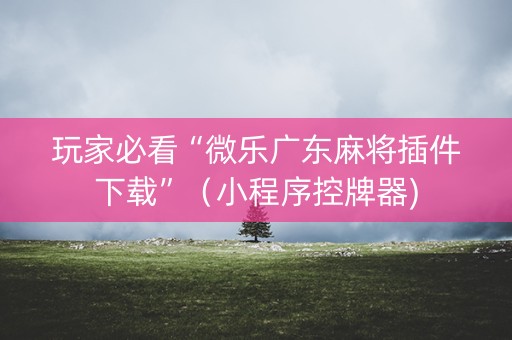 玩家必看“微乐广东麻将插件下载”（小程序控牌器)