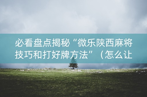必看盘点揭秘“微乐陕西麻将技巧和打好牌方法”（怎么让系统给自己好牌)