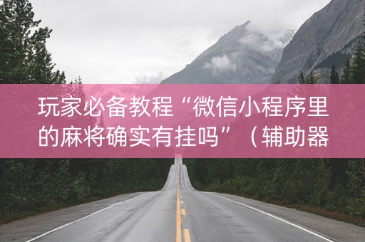 玩家必备教程“微信小程序里的麻将确实有挂吗”（辅助器插件)