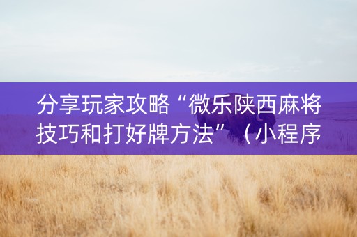 分享玩家攻略“微乐陕西麻将技巧和打好牌方法”（小程序控牌器)