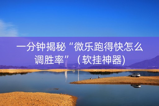 一分钟揭秘“微乐跑得快怎么调胜率”（软挂神器)
