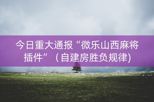 今日重大通报“微乐山西麻将插件”（自建房胜负规律)