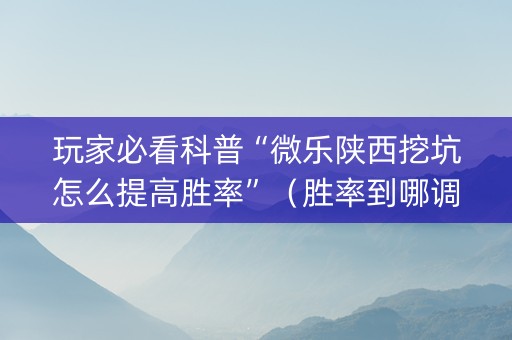 玩家必看科普“微乐陕西挖坑怎么提高胜率”（胜率到哪调)