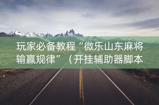 玩家必备教程“微乐山东麻将输赢规律”（开挂辅助器脚本)