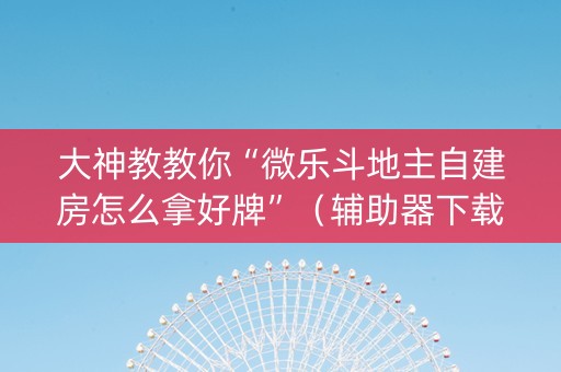 大神教教你“微乐斗地主自建房怎么拿好牌”（辅助器下载)