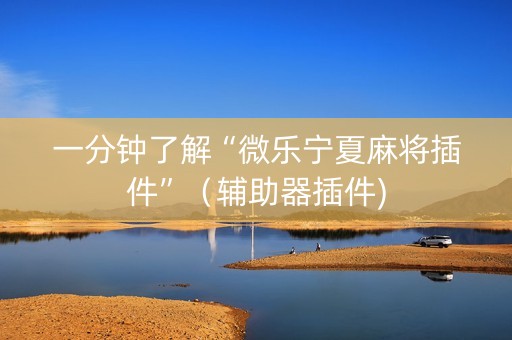 一分钟了解“微乐宁夏麻将插件”（辅助器插件)
