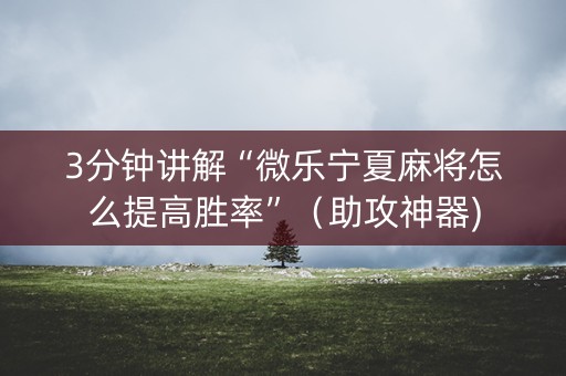 3分钟讲解“微乐宁夏麻将怎么提高胜率”（助攻神器)