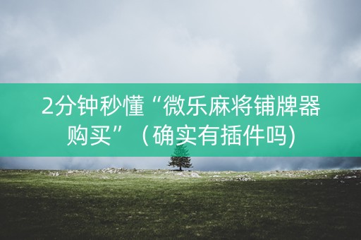 2分钟秒懂“微乐麻将铺牌器购买”（确实有插件吗)