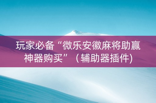 玩家必备“微乐安徽麻将助赢神器购买”（辅助器插件)