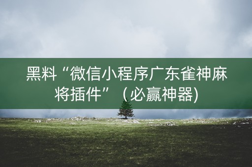 黑料“微信小程序广东雀神麻将插件”（必赢神器)