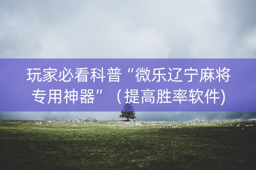 玩家必看科普“微乐辽宁麻将专用神器”（提高胜率软件)
