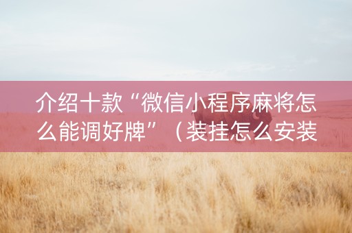 介绍十款“微信小程序麻将怎么能调好牌”（装挂怎么安装)