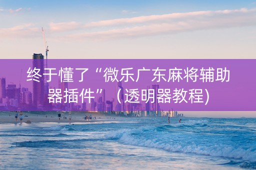 终于懂了“微乐广东麻将辅助器插件”（透明器教程)