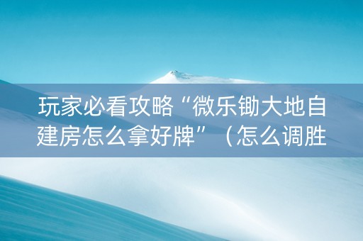 玩家必看攻略“微乐锄大地自建房怎么拿好牌”（怎么调胜率)