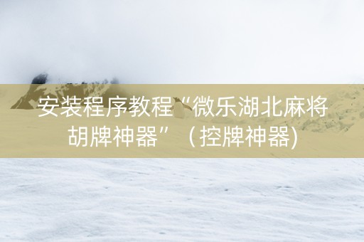 安装程序教程“微乐湖北麻将胡牌神器”（控牌神器)