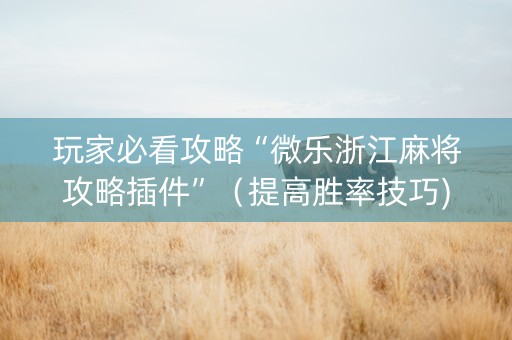 玩家必看攻略“微乐浙江麻将攻略插件”（提高胜率技巧)