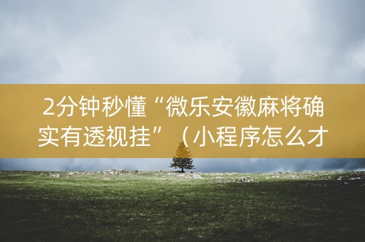 2分钟秒懂“微乐安徽麻将确实有透视挂”（小程序怎么才会赢)