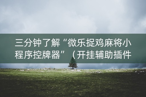 三分钟了解“微乐捉鸡麻将小程序控牌器”（开挂辅助插件)