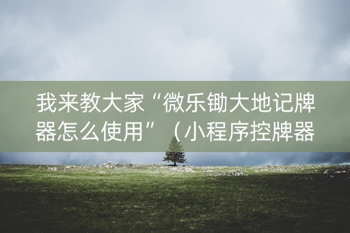 我来教大家“微乐锄大地记牌器怎么使用”（小程序控牌器)