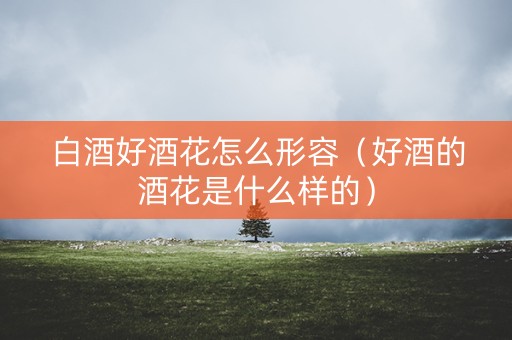 白酒好酒花怎么形容（好酒的酒花是什么样的）
