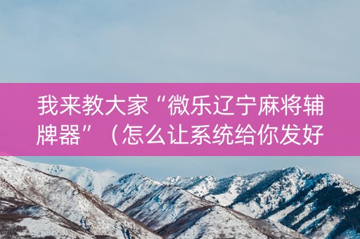 我来教大家“微乐辽宁麻将辅牌器”（怎么让系统给你发好牌)