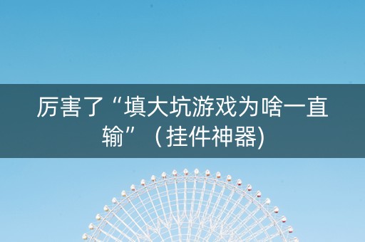 厉害了“填大坑游戏为啥一直输”（挂件神器)