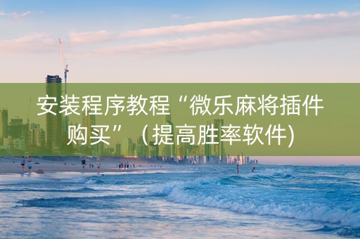 安装程序教程“微乐麻将插件购买”（提高胜率软件)